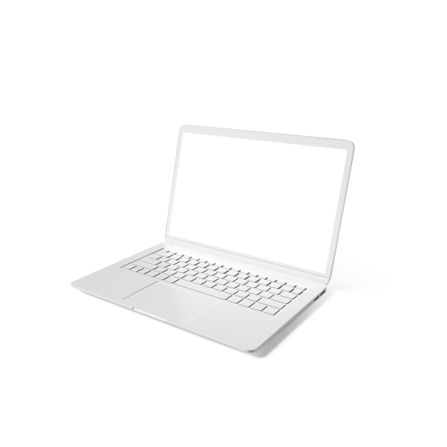 13.3 Inch Laptop (2.1 GHz Intel Core 2 Duo Mobile, 4 GB SDRAM, 500GB HDD) 