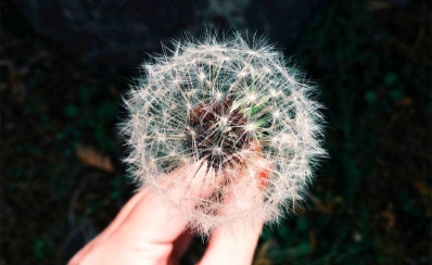 Blog Posts Can Have an Associated Image!